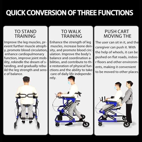 Rehabilitation Walker with Stand