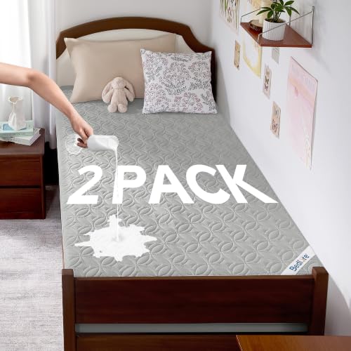 2 Pack Waterproof Mattress Protector Twin XL (2 Count)