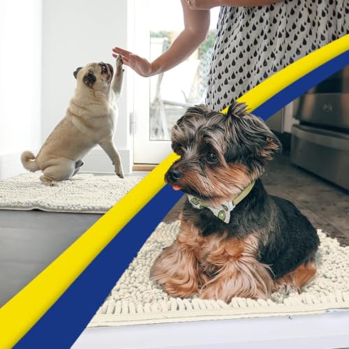 Super Water Absorbent Door Mat Indoor (13 Sq Ft)
