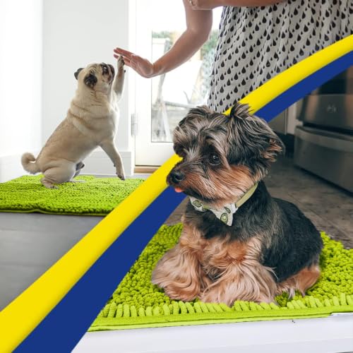 Super Water Absorbent Door Mat Indoor (54 Sq Ft)