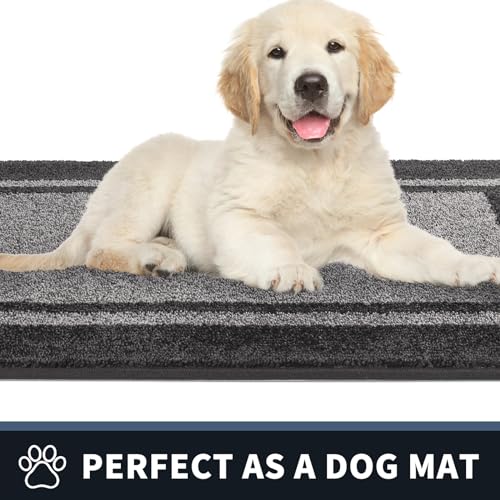 Dirt Trapping Indoor Door Mat