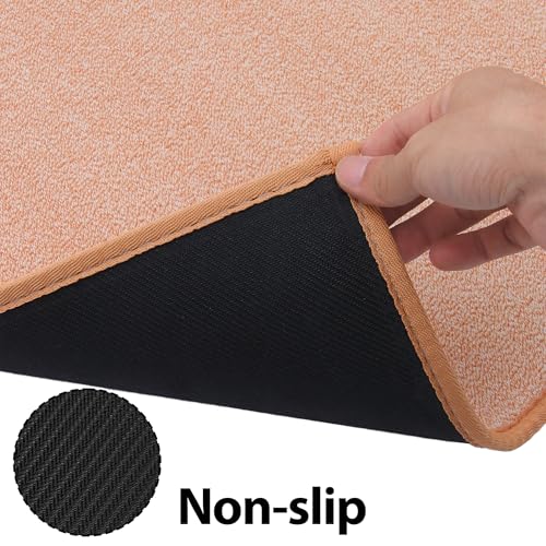 Runner Rug with Non Slip Rubber Backing