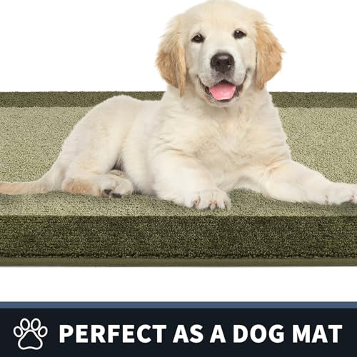 Dirt Trapping Indoor Doormat