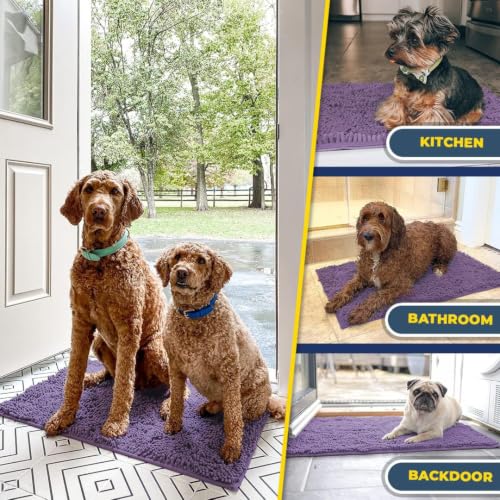 Super Water Absorbent Door Mat Indoor (10 Sq Ft)