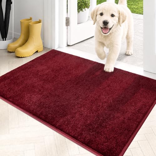 Dirt Trapping Indoor Door Mat