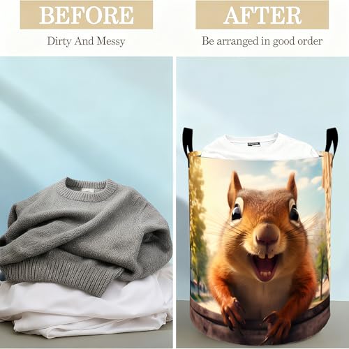 Funny Squirrel Laundry Basket Hamper for Boys Girls Kids Adults