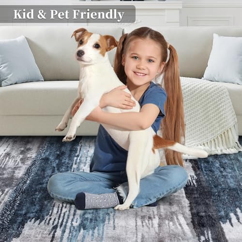 4x6 Area Rugs for Living Room