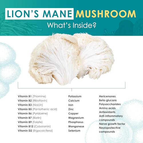 Lion’s Mane Powder (2.1 Ounce)