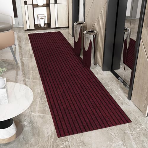 2' x 46' Hallway Runner with Scraper Pile