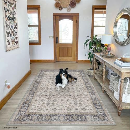 Washable Area Rug 5x7 Living Room Grey