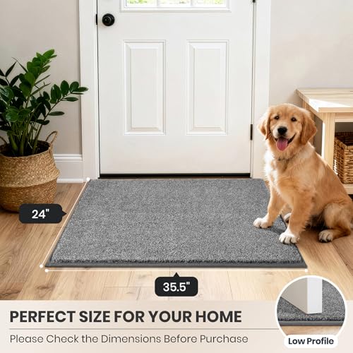 Dirt Trapping Indoor Door Mat