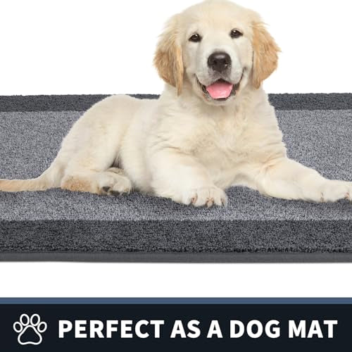 Dirt Trapping Indoor Door Mat