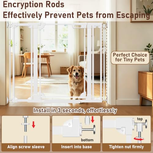 40" Extra Tall Clear Acrylic Dog Gate 57.87