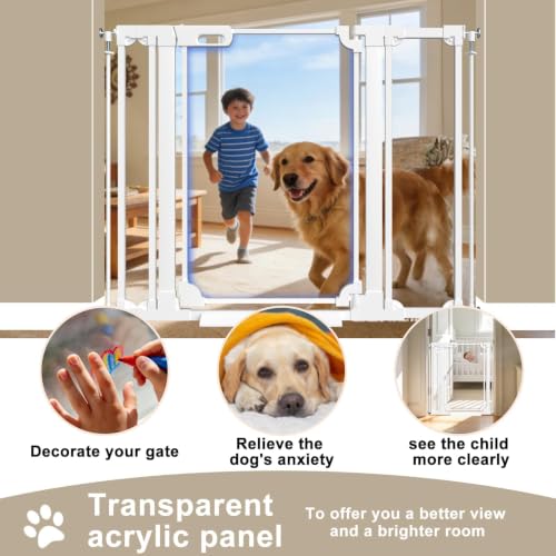 40" Extra Tall Clear Acrylic Dog Gate 29.52