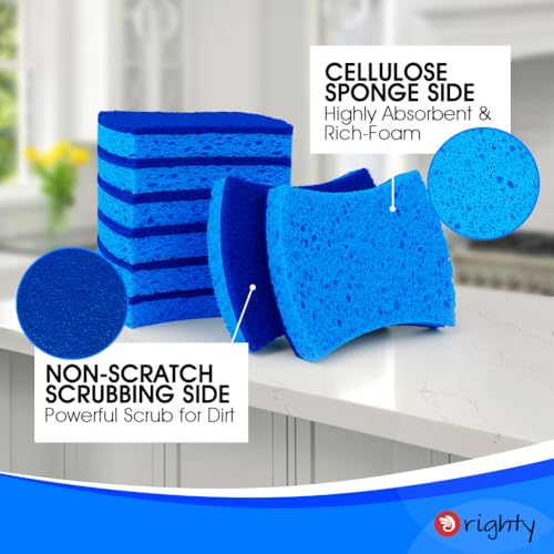 Non Scratch Scrub Sponges (24 Count)