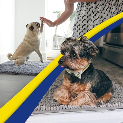 Super Water Absorbent Door Mat Indoor (7 Sq Ft)