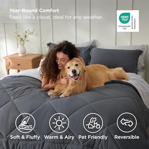 Queen Comforter Set
