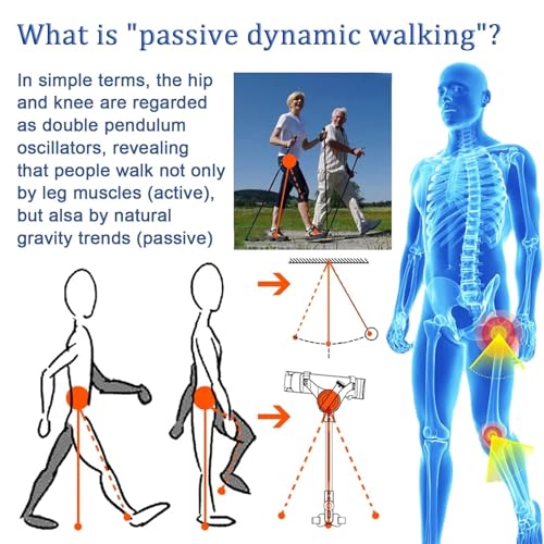 Bionic Walking Aid