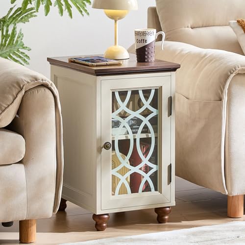 Narrow Side Table Set 2 with Glass Door Storage (2 Count)