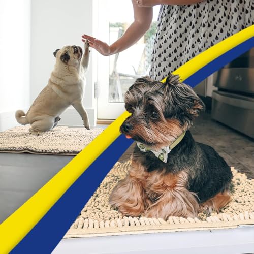 Super Water Absorbent Door Mat Indoor