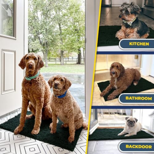 Super Water Absorbent Door Mat Indoor (5 Sq Ft)