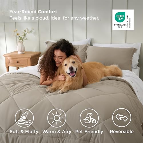 Queen Comforter Set