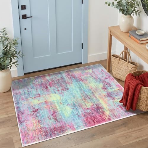 Abstract Area Rug 3x4 Ft Washable Rugs for Entryway Indoor (12 Sq Ft)