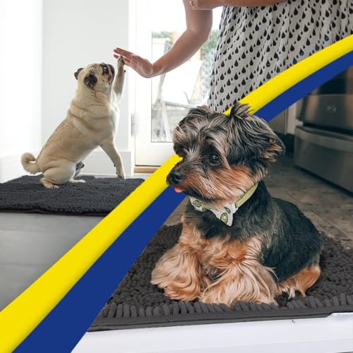 Super Water Absorbent Door Mat Indoor