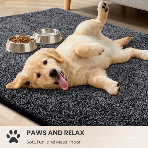 Dirt Trapping Indoor Door Mat