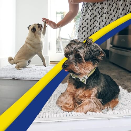Super Water Absorbent Door Mat Indoor