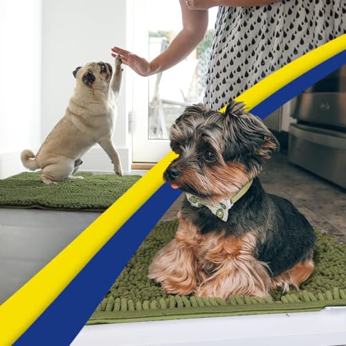 Super Water Absorbent Door Mat Indoor