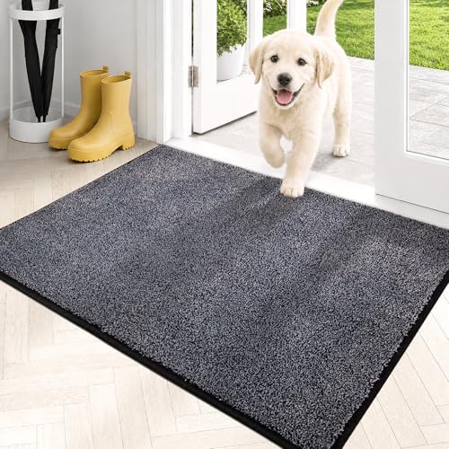 Dirt Trapping Indoor Door Mat