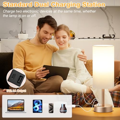 Bedside Table Lamp for Bedroom