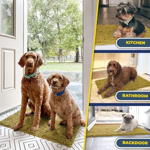 Super Water Absorbent Door Mat Indoor (10 Sq Ft)