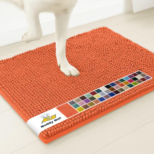 Super Water Absorbent Door Mat Indoor (10 Sq Ft)