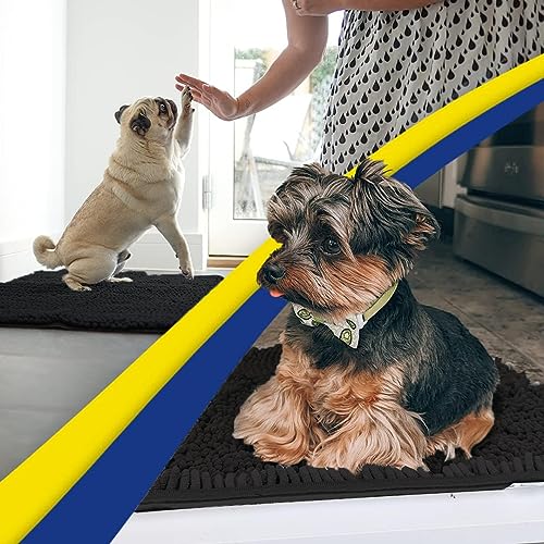 Super Water Absorbent Door Mat Indoor