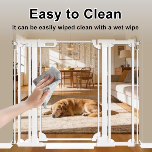 40" Extra Tall Clear Acrylic Dog Gate 29.52