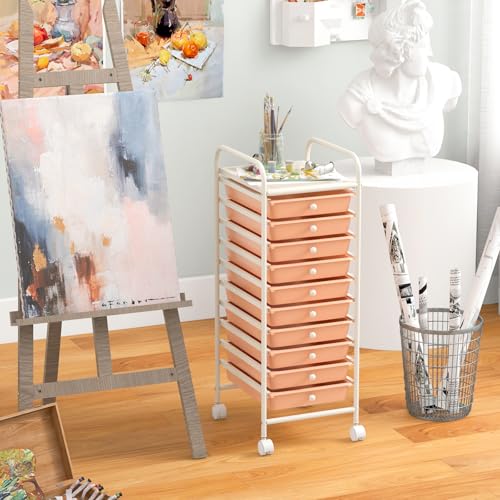 10 Drawer Storage Cart w
