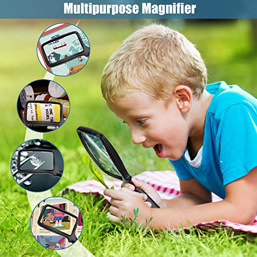 Folding Handheld Magnifying Glass with Light