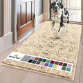 Super Water Absorbent Door Mat Indoor