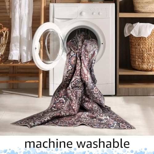 Vintage Washable Entryway Rug