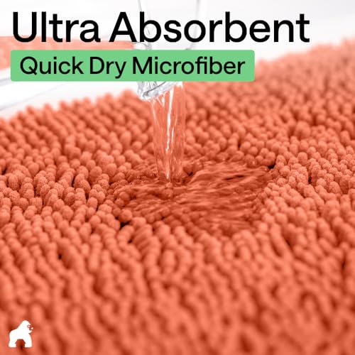 Bath Rug Mat for Bathroom