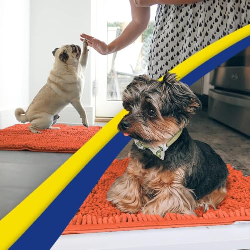 Super Water Absorbent Door Mat Indoor (10 Sq Ft)