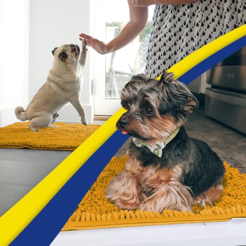 Super Water Absorbent Door Mat Indoor (16 Sq Ft)