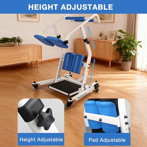 Stand Assist Lift