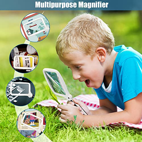 Folding Handheld Magnifying Glass with Light