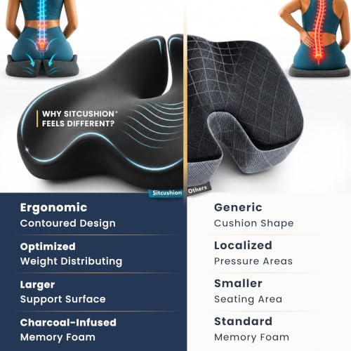 Ergo Office Chair Cushion for Back Pain