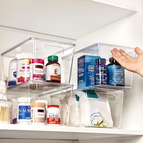 10 Pack Clear Stackable Storage Bins with Lids and Handles (10 Count)