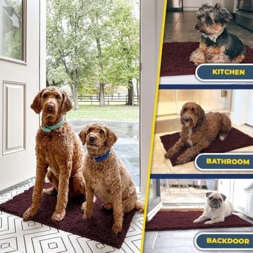 Super Water Absorbent Door Mat Indoor (9 Sq Ft)