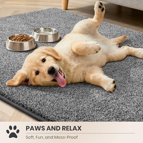 Dirt Trapping Indoor Door Mat